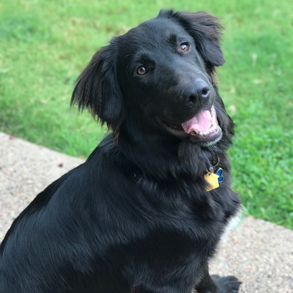 Meet your Posher, Sierra